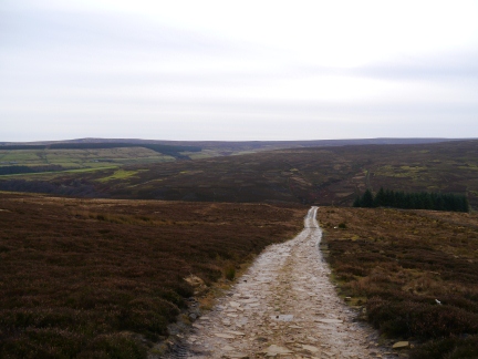 The shooting track leading down into the valley of Beldon Burn