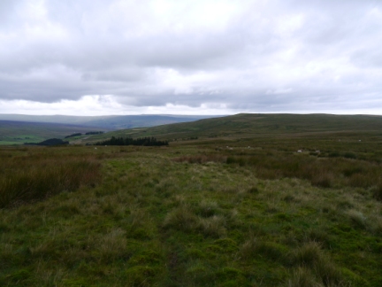 Alston Moor