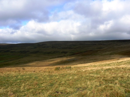 Looking back up to Bolt's Law