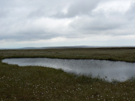 One of a number of small tarns on Burnhope Seat