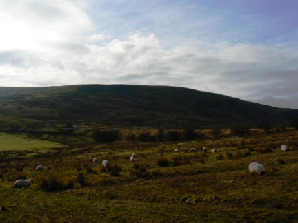 Cold Fell from near Tortie