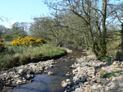 Crowdundle Beck