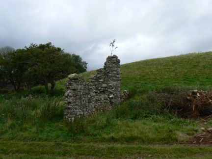The scanty remains of Haresceugh Castle
