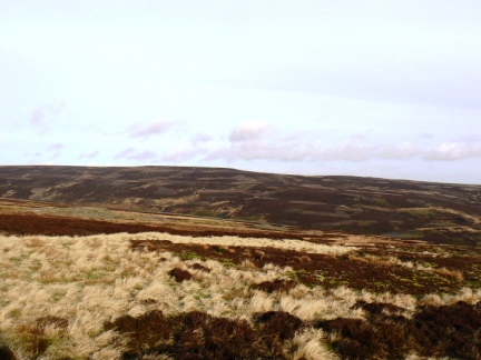 Harnisha Hill from Monk's Moor