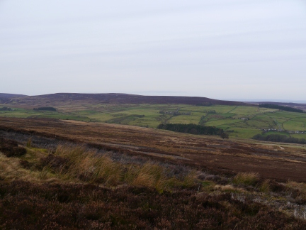 Lilswood Moor