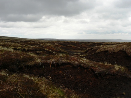 Peat hags between Burnhope Seat and Dead Stones