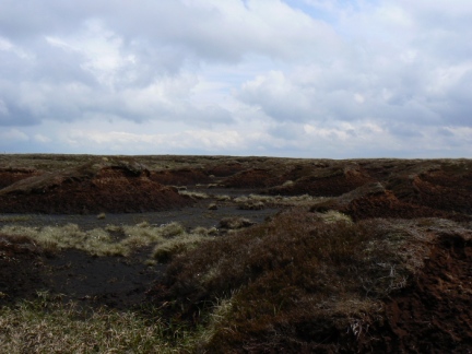 More peat hags!