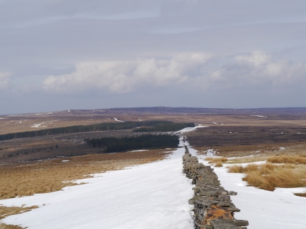 Looking north from Hard Rigg to Pike Rigg
