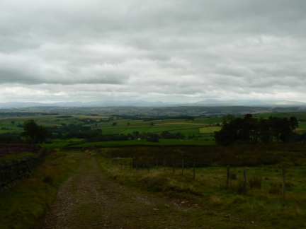Looking back down the path from Renwick