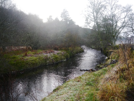 A frost lined River Derwent