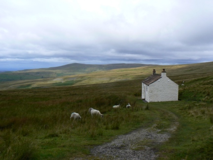 The small white cottage below the café