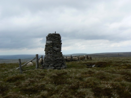 A congregation of sheep on the summit of Dead Stones