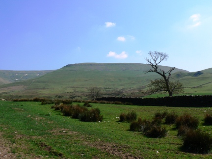 Wildboar Nook